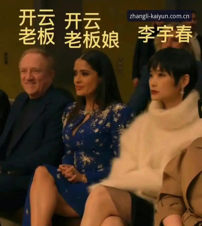 开云赛事直播 开云赛事直播的“定制版”和“普通版”区别在哪?一篇横向对比告诉你